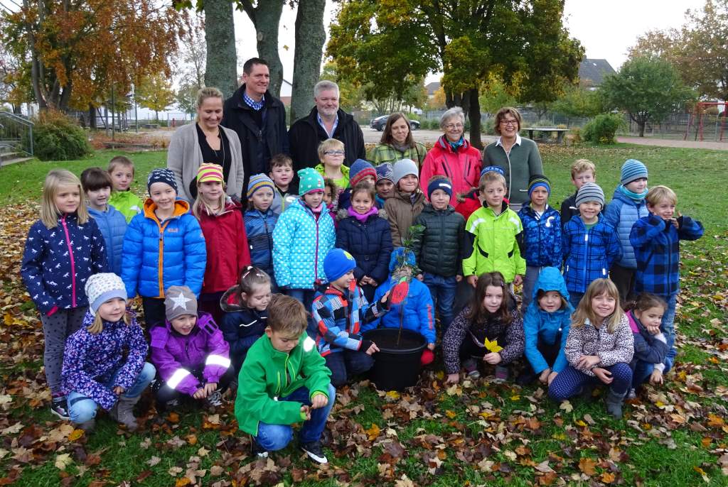 Die Jakob-ihrler-schule Wird Zur 